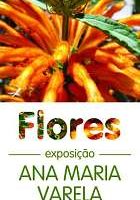 EMARP - Exposição de Ana Maria Varela - abr 2012 - miniCartaz