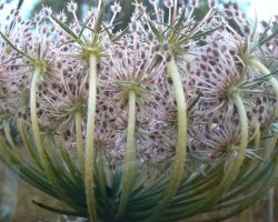 EMARP - Exposição de Ana Maria Varela - abr 2012 - 02