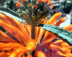 EMARP - Exposição de Ana Maria Varela - abr 2012 - 03