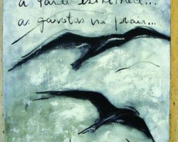 EMARP - Exposição de Clara Andrade - mai 2012 - 03