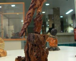 EMARP - Exposição de Eduardo Silva - jan 2014 - 03