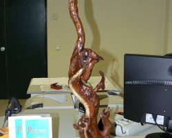 EMARP - Exposição de Eduardo Silva - jan 2014 - 04