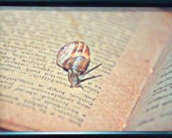 EMARP - Exposição de Juan Lores - fev 2016 - 07