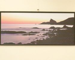 EMARP - Exposição de Juan Lores - fev 2016 - 08