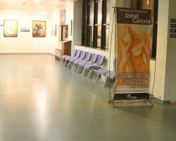 EMARP - Exposição de Izabel Cancela - set 2015 - 08