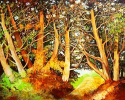 EMARP - Exposição de Maria de Jesus - mar 2016 - 03