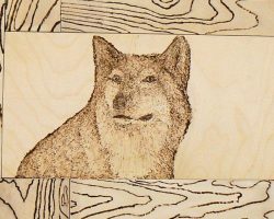 EMARP - Exposição de Zé Craveiro - jul 2016 - 02