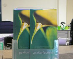 EMARP - Exposição de Ana Cardoso - ago 2016 - 03