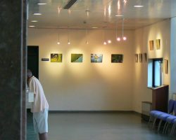 EMARP - Exposição de Ana Cardoso - ago 2016 - 10