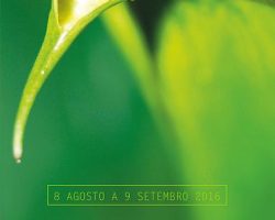 EMARP - Exposição de Ana Cardoso - ago 2016 - cartaz