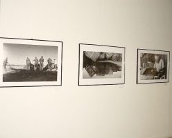 EMARP - Exposição de Elsa Martins - ago 2015 - 05