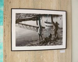 EMARP - Exposição de Elsa Martins - ago 2015 - 06