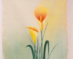 EMARP - Exposição de Fatima Nunes - 2015 04 - 10