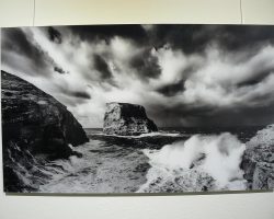 EMARP - Exposição de Sebastião Pernes - fev 2017 - 04