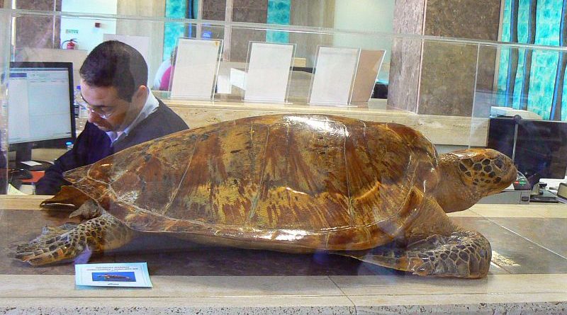 EMARP - Exposição de Zoo de Lagos - nov 2014 - 08