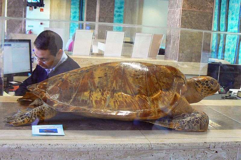 EMARP - Exposição de Zoo de Lagos - nov 2014 - 08