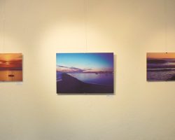 EMARP - Exposição de João Porfírio - mar 2014 - 02