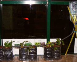 EMARP - Exposição de agrupamento escolas Nuno Mergulhão - mar 2014 - 02