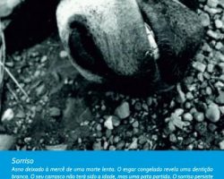 EMARP - Exposição de João Tatá Regala - mar 2014 - cartaz