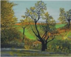 EMARP - Exposição de António Rosado - fev 2012 - 02