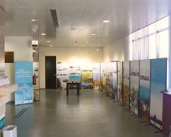 EMARP - Exposição Dieta Mediterrânica - jul 2017 - 53