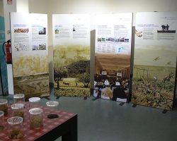 EMARP - Exposição Dieta Mediterrânica - jul 2017 - 60