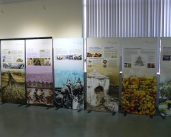 EMARP - Exposição Dieta Mediterrânica - jul 2017 - 67