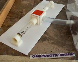 EMARP - Exposição Mirmecologia de Rui Mesquita - ago 2017 - 02