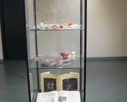 EMARP - Exposição Mirmecologia de Rui Mesquita - ago 2017 - 03