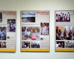 EMARP - Exposição BOLUKA KUA ZUA - nov 2017 - 08