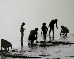 EMARP - Exposição Virginia Maio abril 2018 - 04