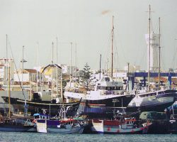 EMARP - Exposição Virginia Maio abril 2018 - 06