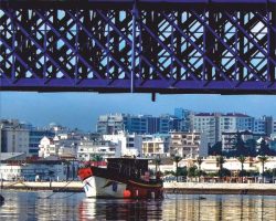 EMARP - Exposição Virginia Maio abril 2018 - cartaz