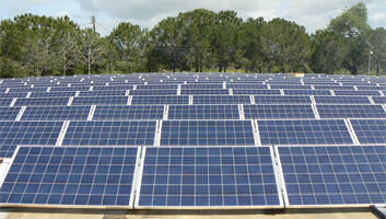 A EMARP CONTRIBUI PARA UM MELHOR AMBIENTE